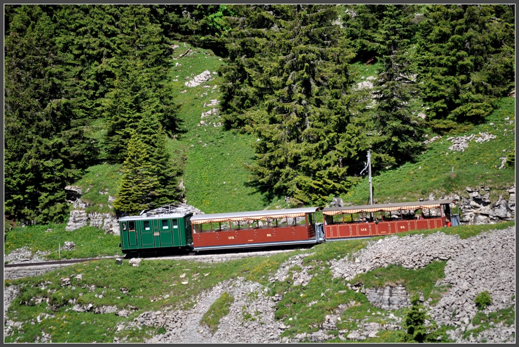 Lok 12 ist mit den Sommerwagen 6 und 8 unterwegs auf der Stepfegg. (27.06.2012)