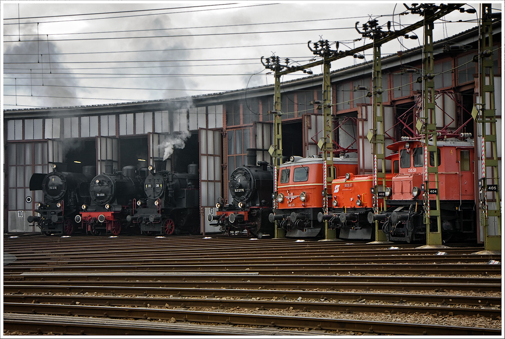 Nach der Ankuft der Sonderzge in Attnang-Puchheim prsentierten sich alle Dampfrsser im Lokschuppen. 13.3.2011