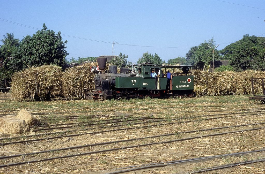  Nr. 5  Tasik Madu  18.08.95