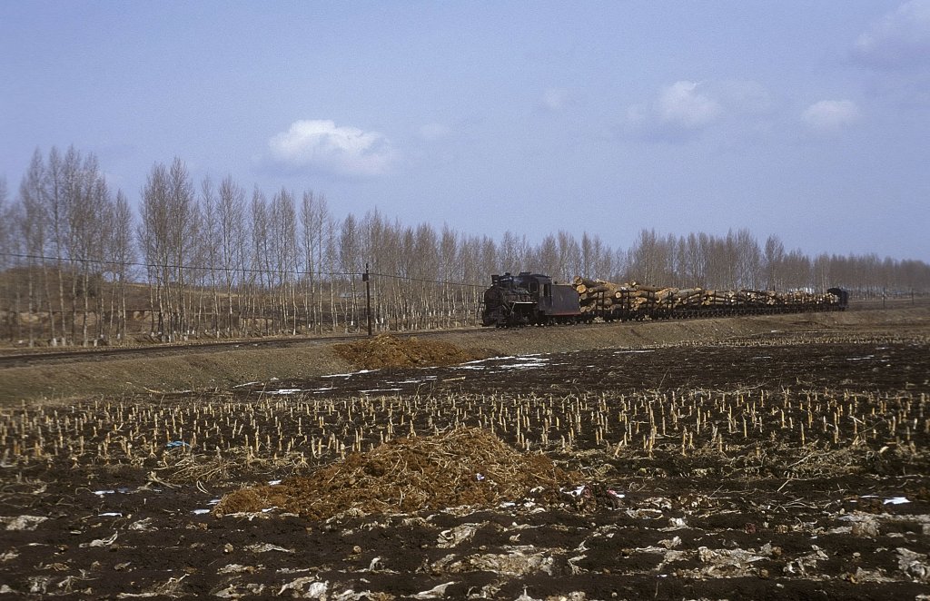 Nr.02  Waldbahn Yabuli  02.04.99