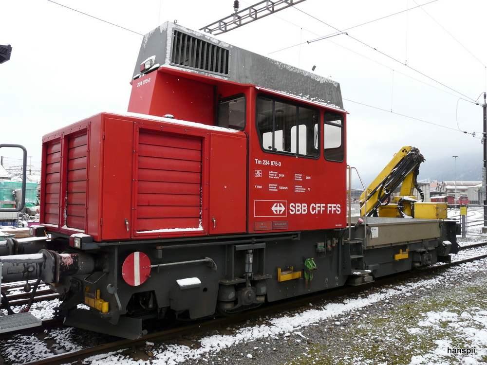 SBB  - Tm 234 075-0 im Gterbahnhof Biel am 03.02.2013