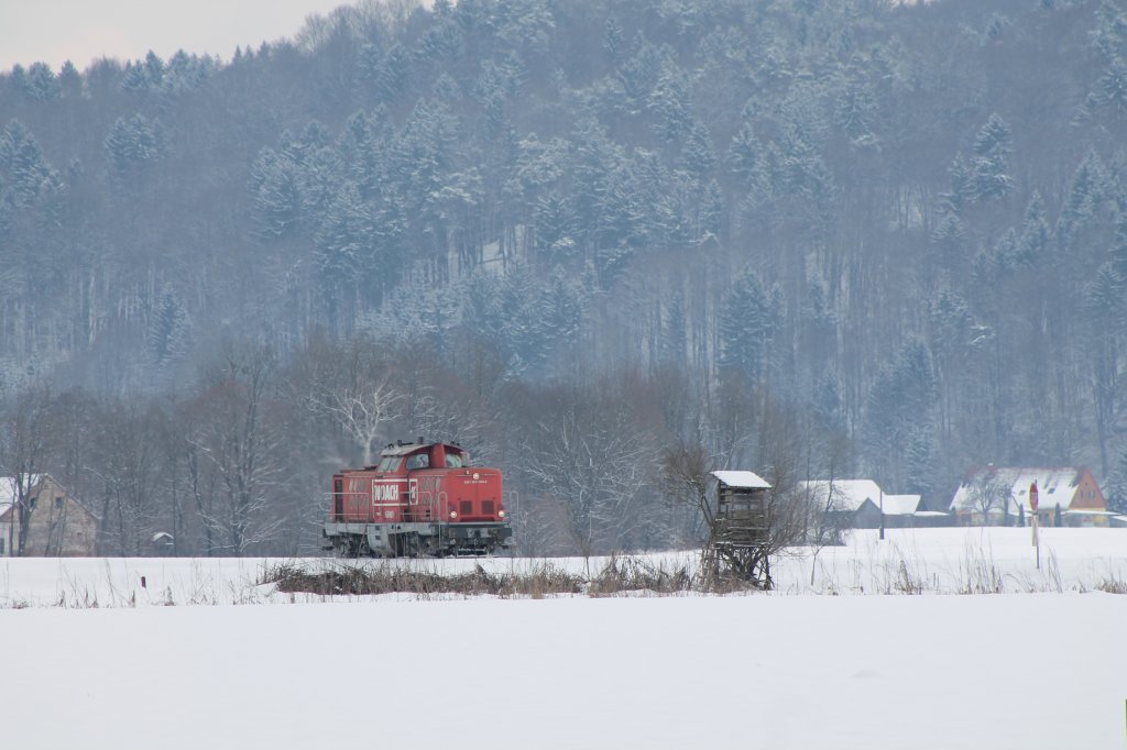 Sicher ein Seltener  Anblick  auch fr einen Jger . Sulmtalbahn nchst dem Sgewerk Tschuchnik in Gasselsdorf am  21.02.2013