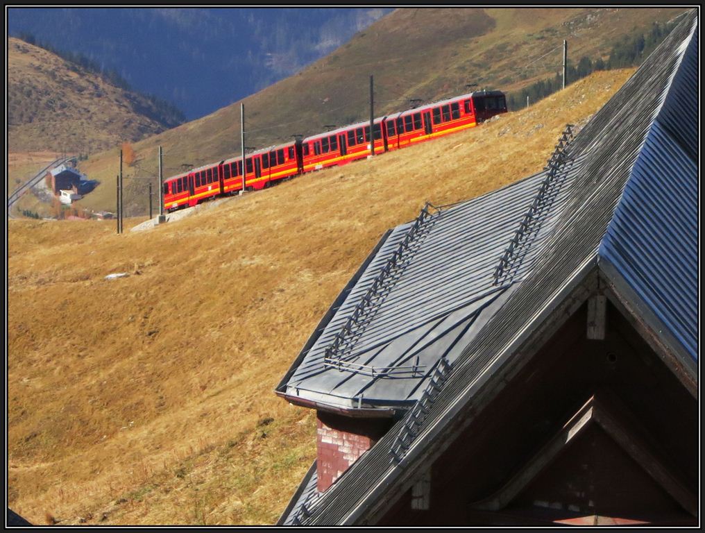 Steil gehts von Eigergletscher nach Fallboden hinunter, aber dank dem Zahnrad haben BDhe 4/8 215 und 213 keine Mhe mit dem Geflle. (23.10.2012)