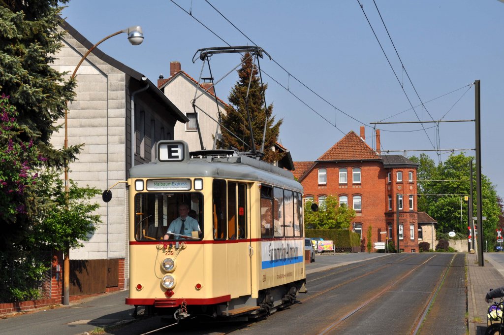 Tw 239 als  MaibaumExpress  bei Heisede (01.05.2012)
