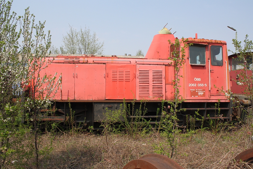 Umgekehrt der erblhenden Natur vegetiert die 2062 055-5 vor sich hin. Heizhaus Strasshof am 21. April 2013. 

