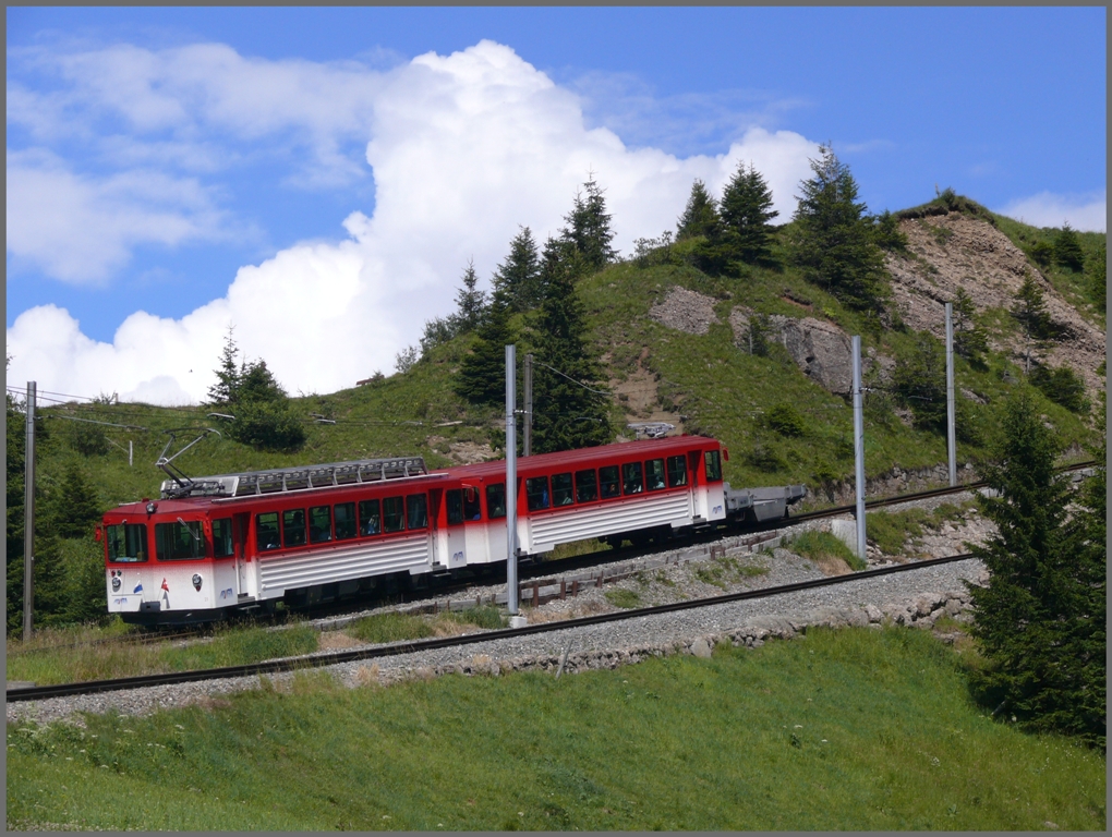 VRB BDeh 4/4 21 und Bt  zwischen Rigi Staffel und Rigi Kulm. (30.07.2010)