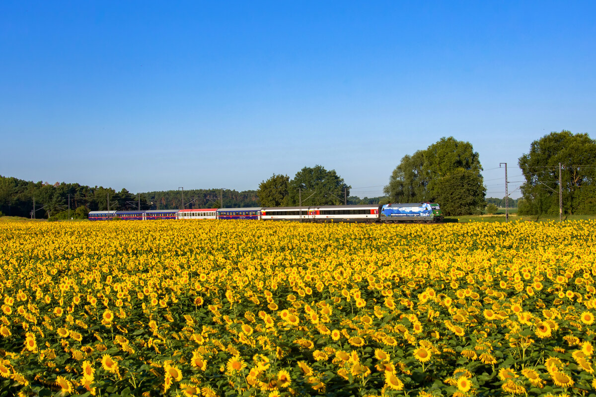 101 039 durffährt im Hochsommer diesem Jahres mit dem Nj 409 die Ortschaft Trebbin...