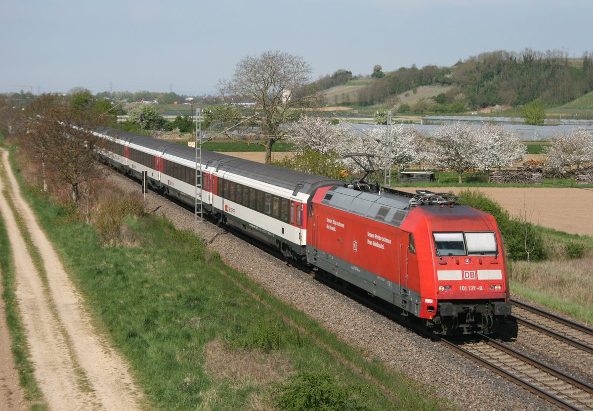101 137 mit EC 9 (Hamburg-Altona–Kln–Zrich HB) am 22.04.2015 zwischen Buggingen und Mllheim (Baden)