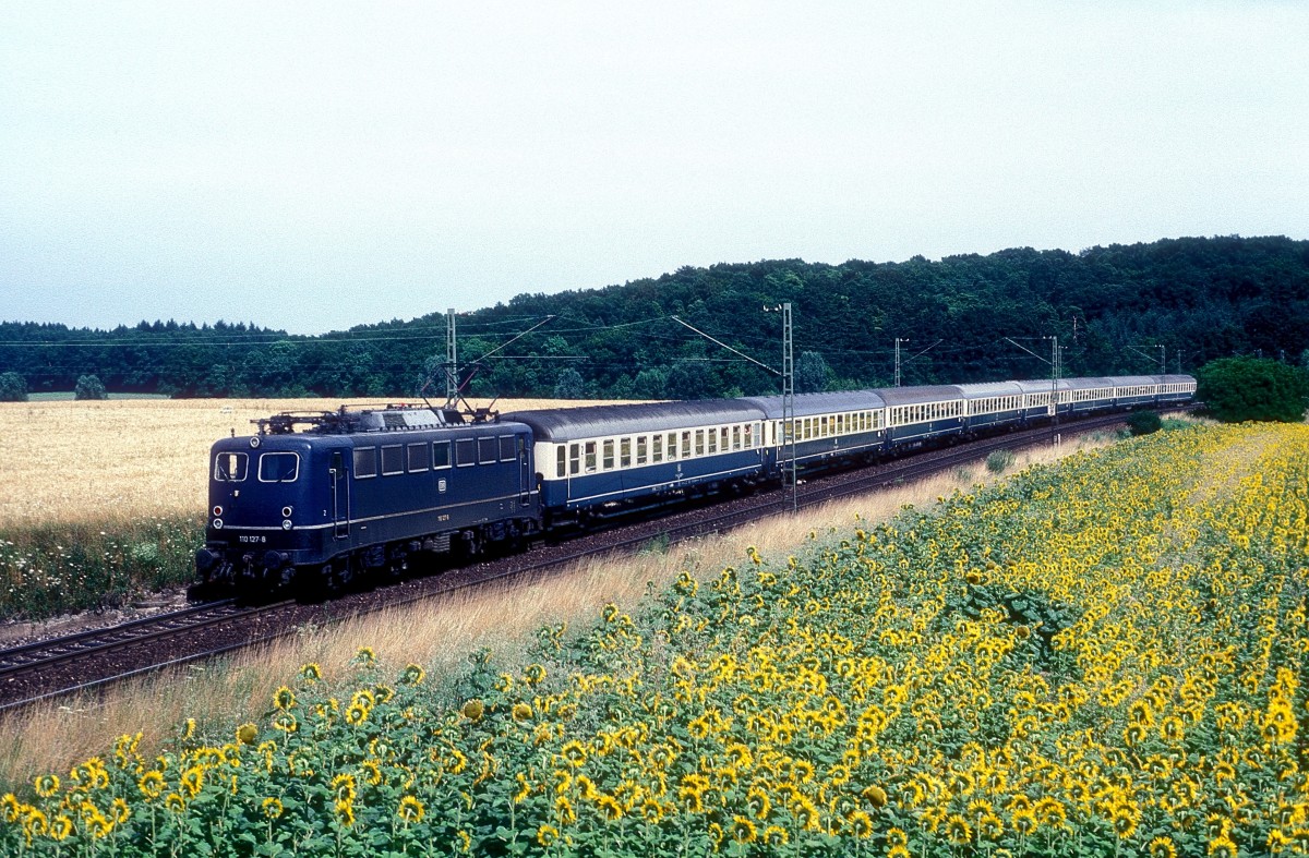  110 127  bei Vaihingen ( Enz ) Nord  21.07.89