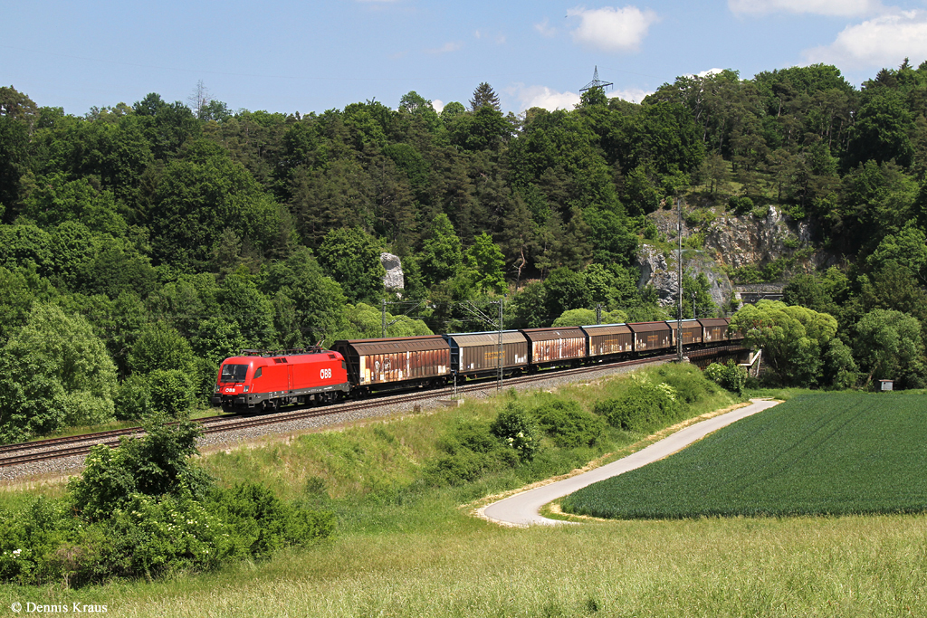 1116 058 mit Güterzug am 04.06.2015 bei Dollnstein.