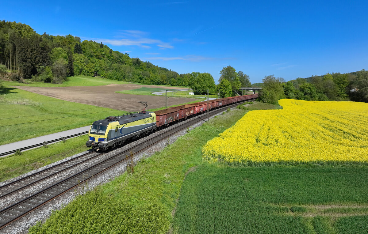 1193 890 mit DGS 48963 am 26.04.2024 bei Einöd.