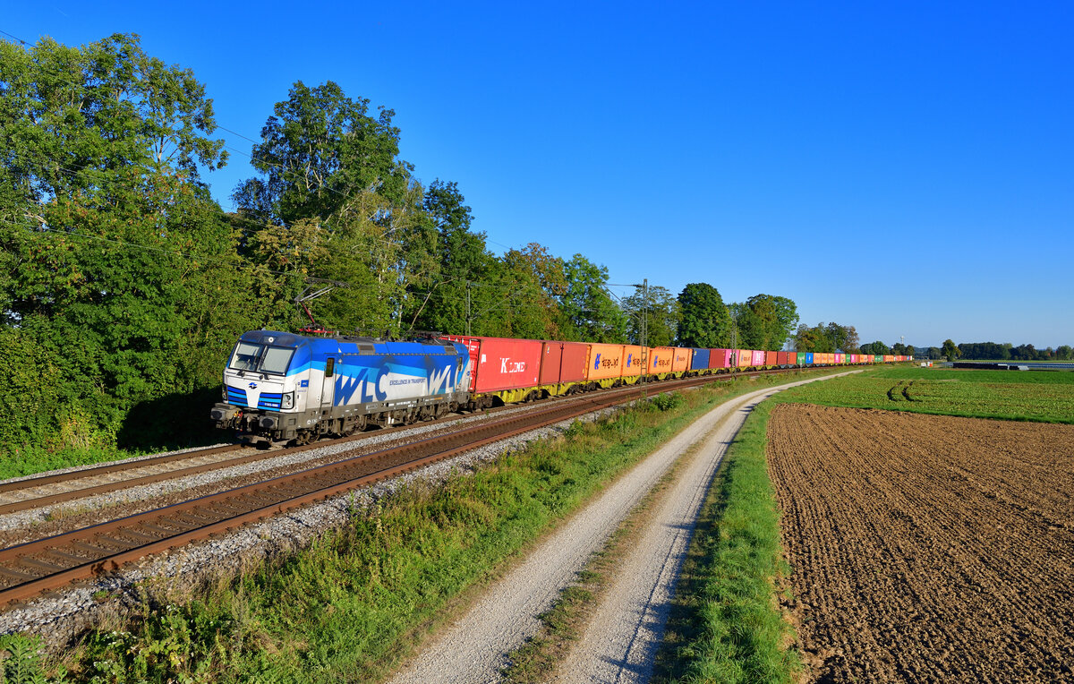 1193 980 mit einem Containerzug am 07.09.2024 bei Langenisarhofen.