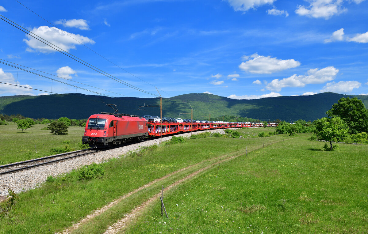 1216 142 mit einem Autozug am 11.05.2024 bei Crnotice.