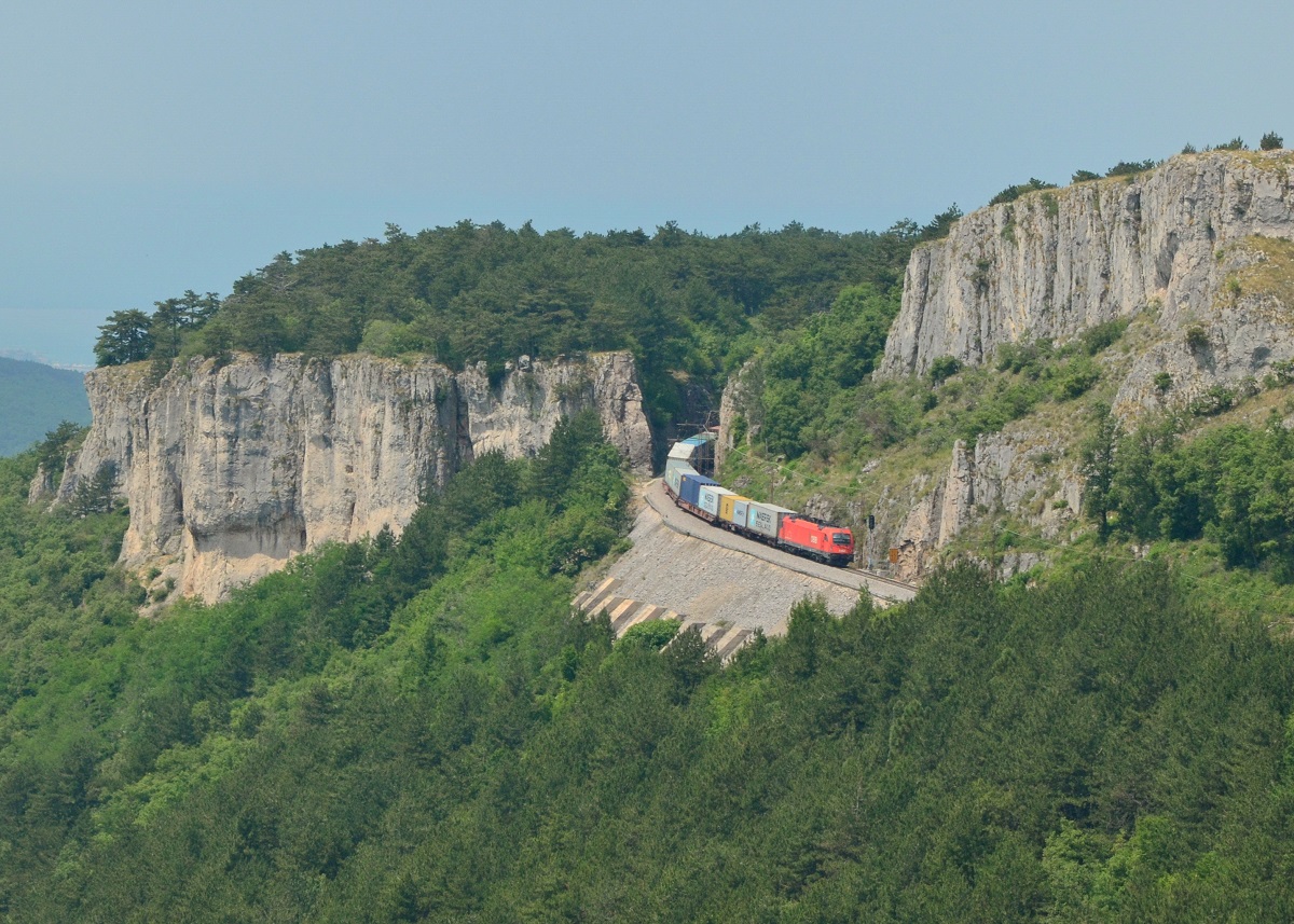 1216 143 mit einem Containerzug am 09.06.2015 bei Crnotice. 