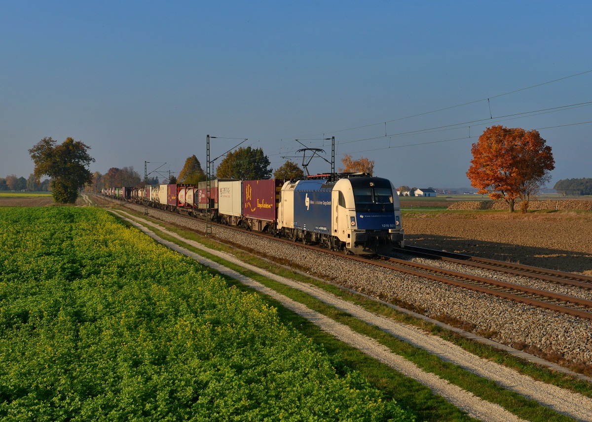 1216 951 mit einem KLV am 27.10.2015 bei Langenisarhofen. 