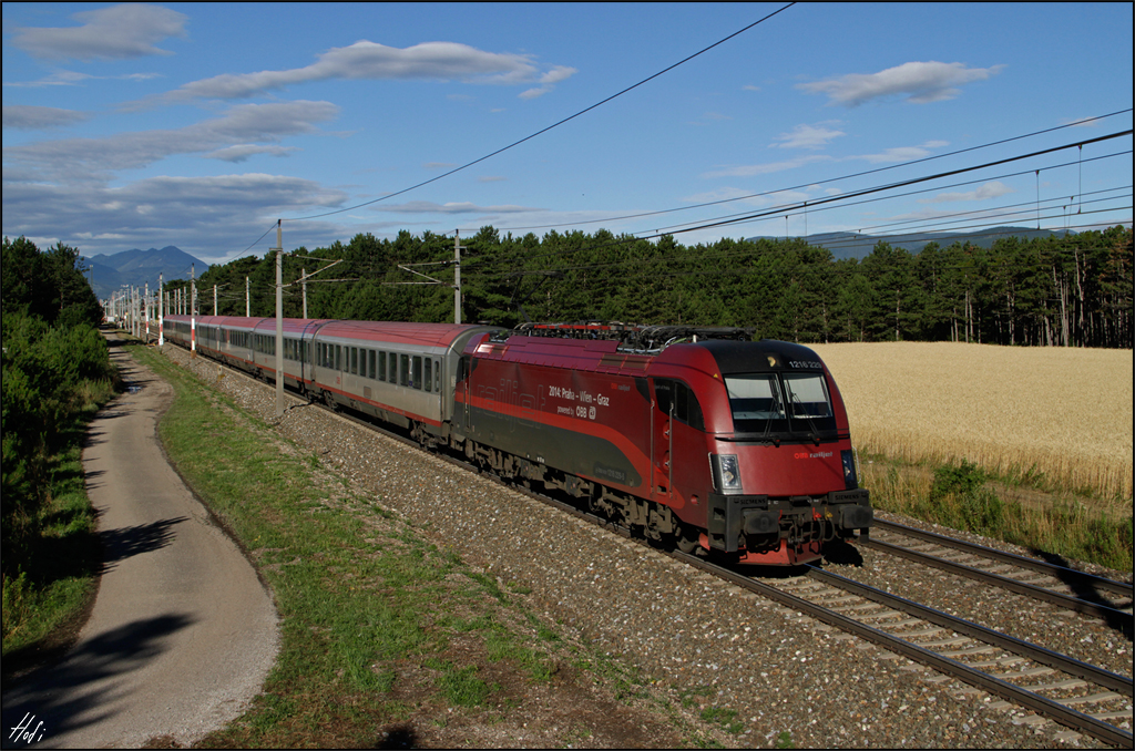 1216.229 bespannte am 10.07.14 den EC 278.
Hier bei Neunkirchen/Nö.