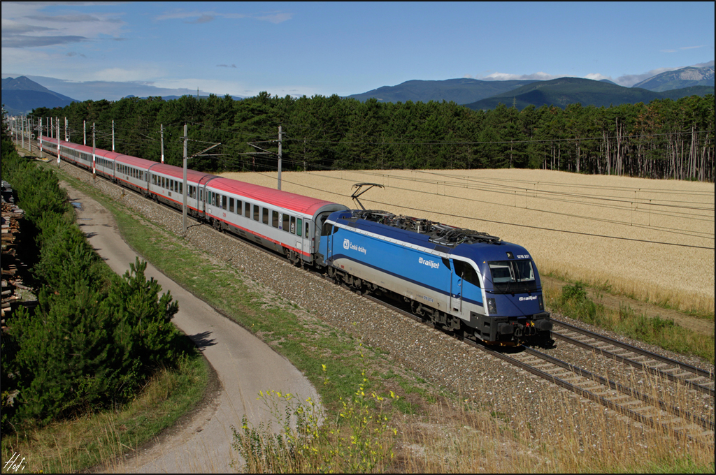 1216.237 bespannte am 10.07.14 den EC 172.
Hier bei Neunkirchen/Nö.