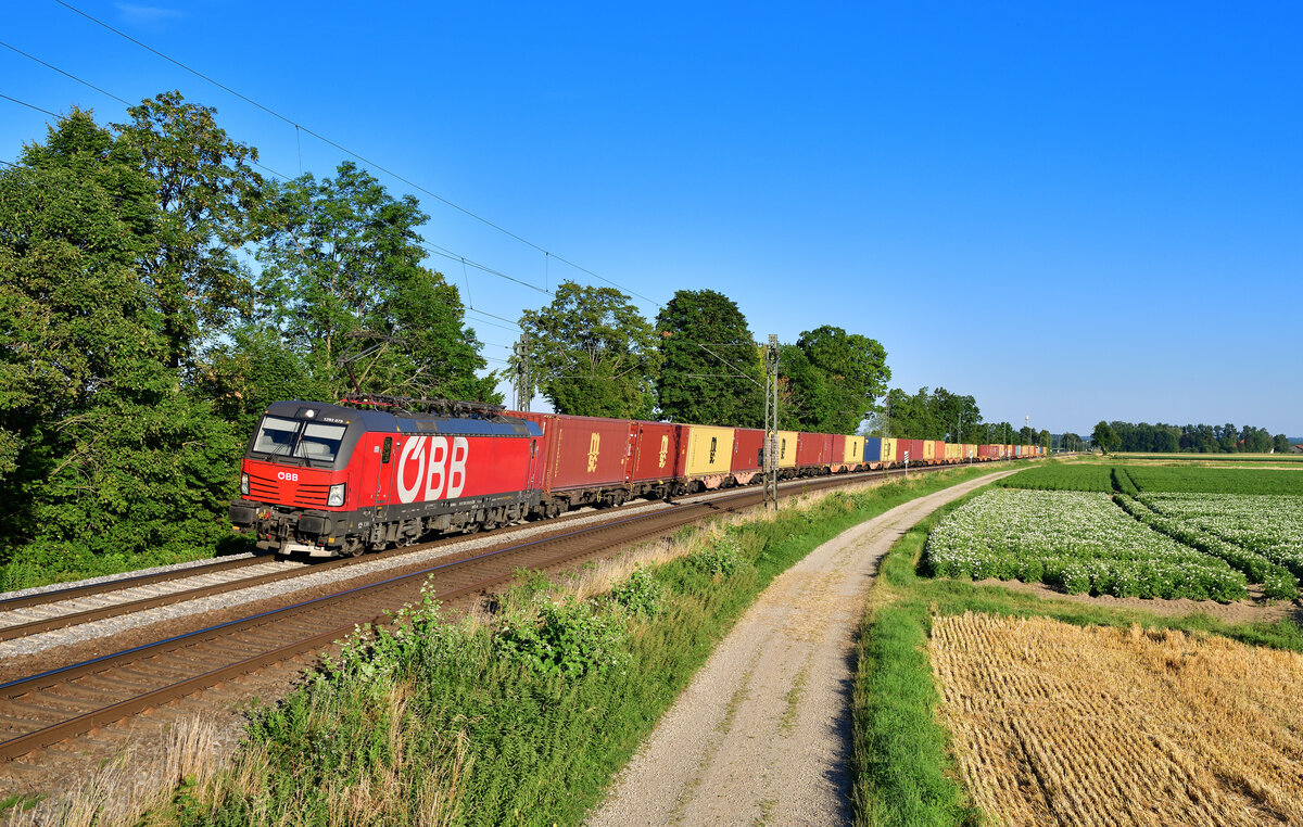 1293 079 mit einem Containerzug am 03.07.2022 bei Langenisarhofen.