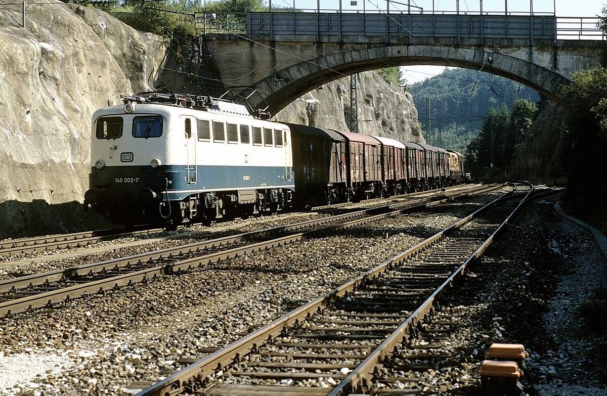 140 002  Möhren  06.08.88