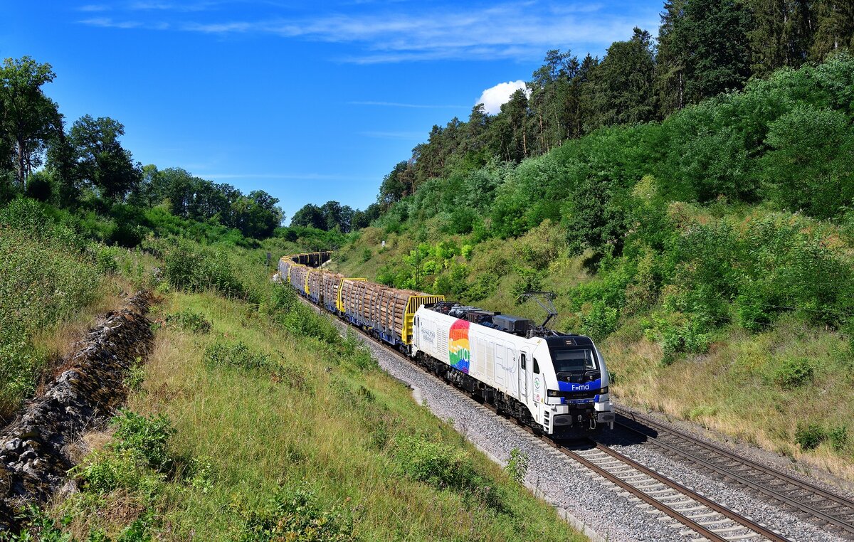 159 237 mit einem Holzzug am 03.08.2022 bei Sinngrün.