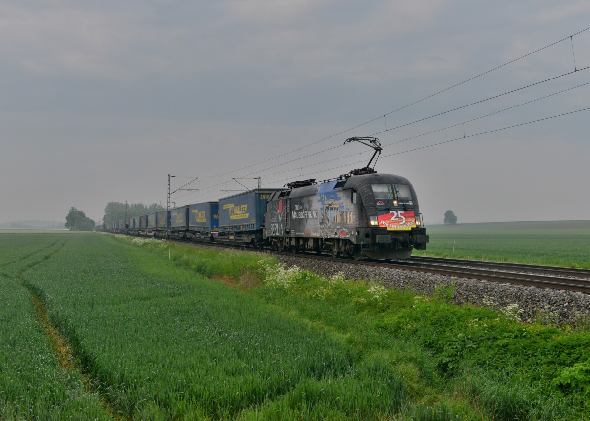 182 560 mit DGS 43944 am 22.05.2015 bei Langenisarhofen. 