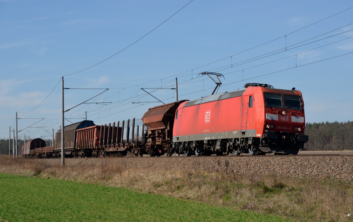 185 004 führte am 20.03.14 einen gemischten Güterzug durch Burgkemnitz Richtung Wittenberg.