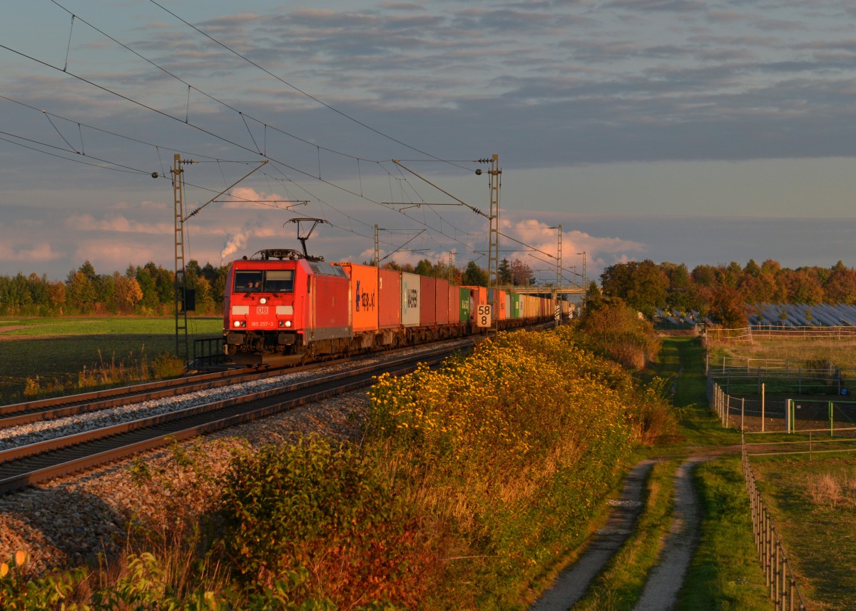 185 257 mit einem Containerzug am 09.10.2015 bei Stephansposching. 