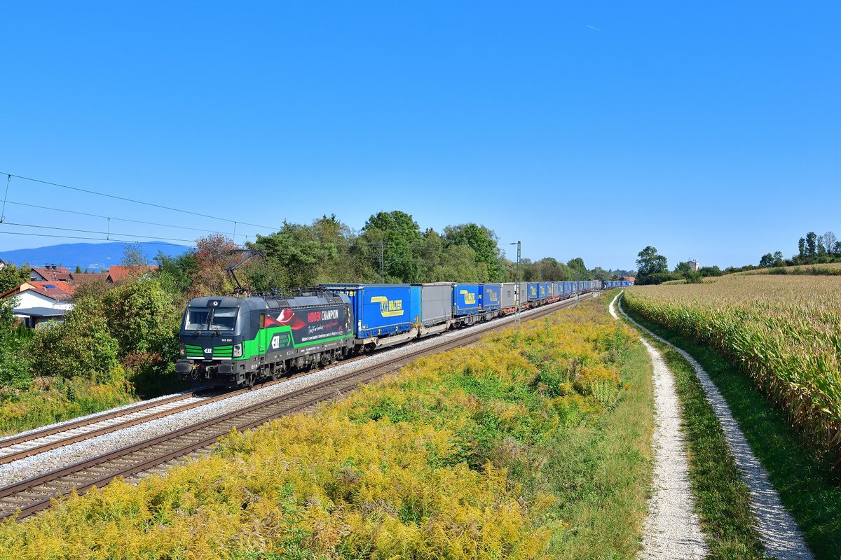 193 203 mit DGS 41160 am 20.09.2020 bei Langenisarhofen.