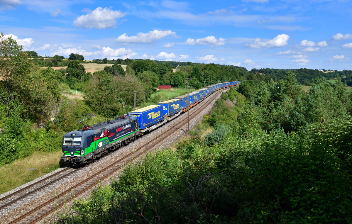 193 203 mit einem KLV am 05.08.2024 bei Laaber.