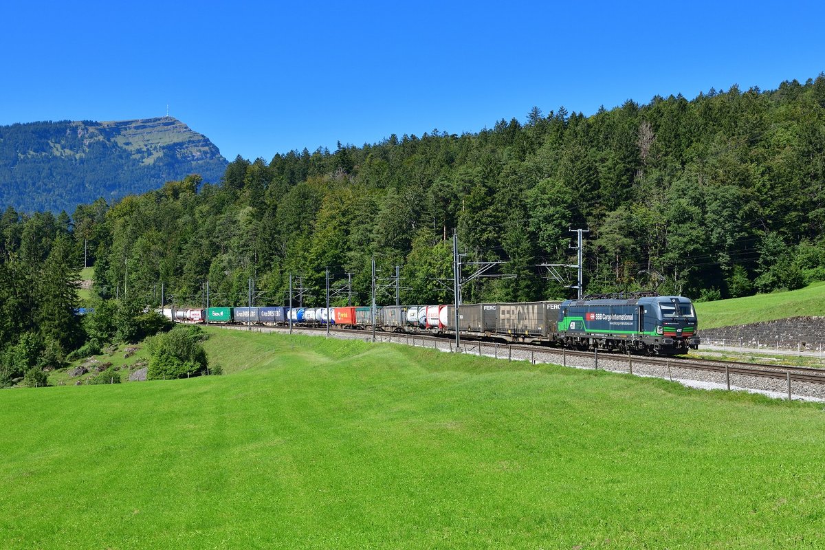 193 258 mit einem KLV am 04.09.2020 bei Goldau.