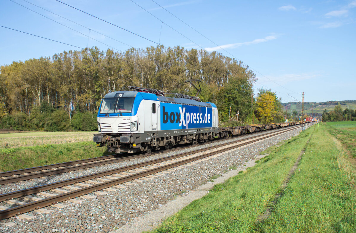 193 536-0 mit einem Containerzug bei Retzbach-Z. am 16.10.2024.