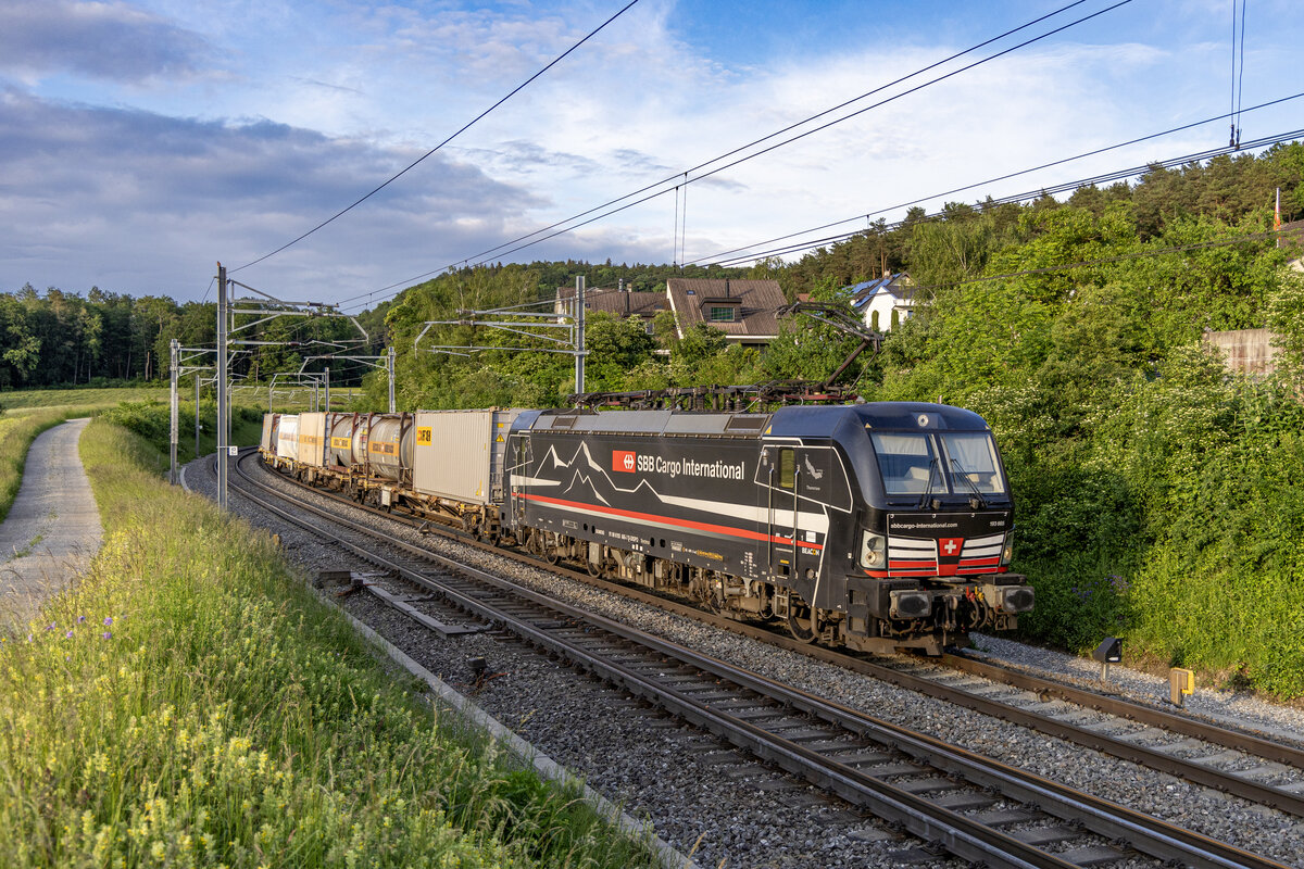 193 665  Thunersee  ist in Zeihen AG unterwegs in Richtung Basel, aufgenommen am Abend des 23.05.2024.