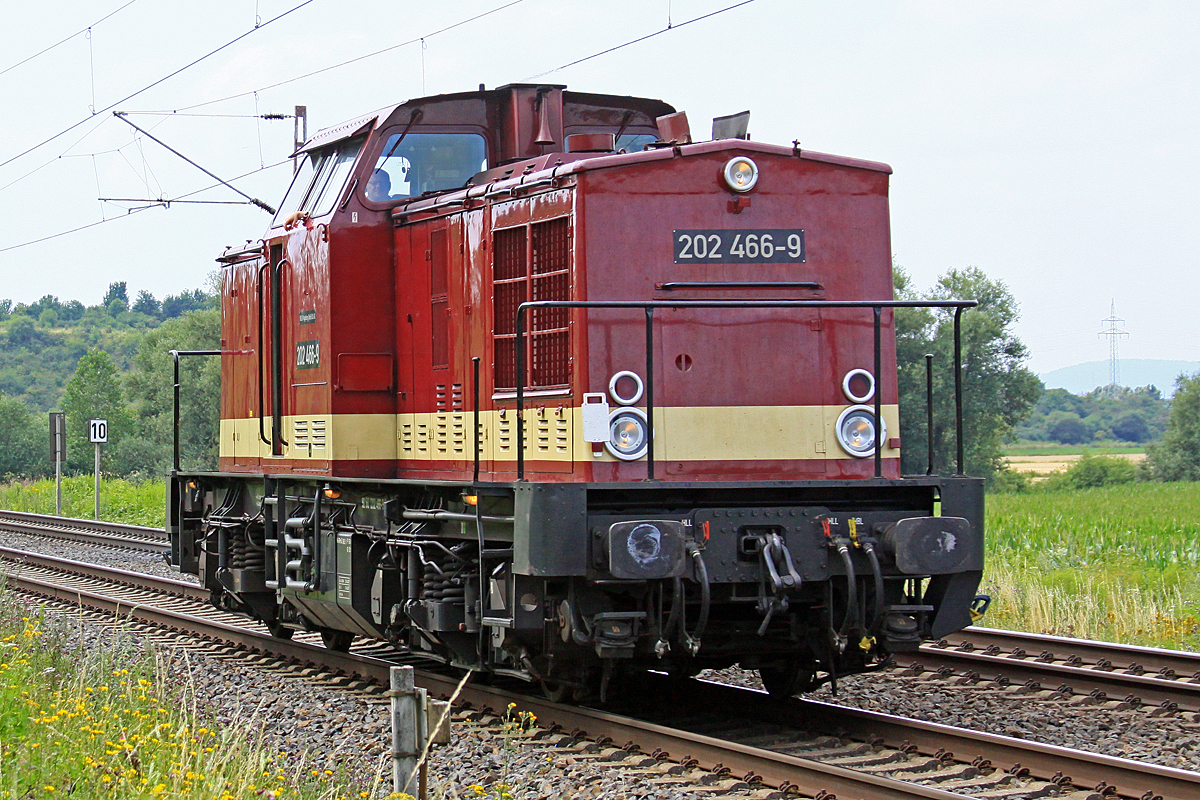  202 466-9 am 23.07.2021 solo nördlich von Salzderhelden am BÜ 75,1 in Richtung Kreiensen