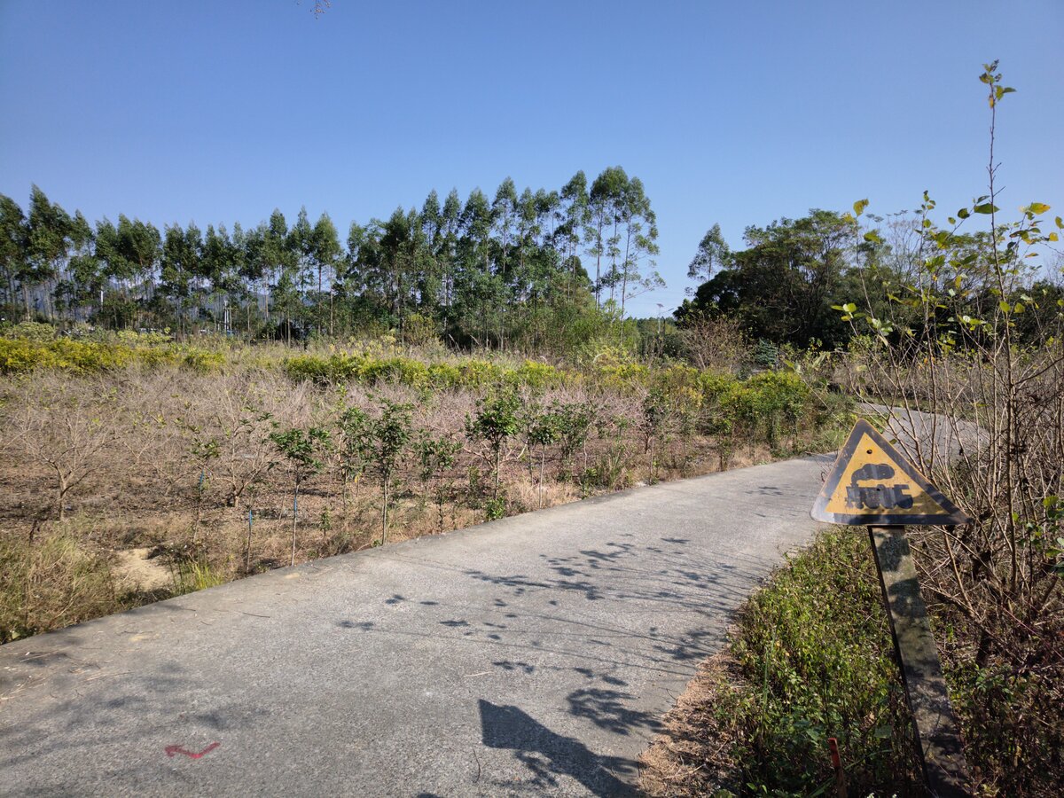 2024.11.17, abandoned Railway Crossing of GuiLin-HaiYang County Railway, on 龙门二路 (LongMen 2nd Road), from National Highway G357, 桂磨公路 (GuiMo Highway, GuiLin-MoPanShan Dock) section. The narrow road leads up to an unmanned crossing under the trees. The railway was planned since 1958 but only start construction toward HaiYang County's Iron Ore Quarry in 1970s. To great disappointment, the construction were abandon in 1973 due to poor quality of ore. Nevertheless, just a few km to left of this crossing, the GuiLin East station was opened as coal yard. This section after GuiLin East probably didn't seen a train for a good 30 to 40 years since...
///
2024.11.17, verlassener Bahnübergang der GuiLin-HaiYang County Railway, an der 龙门二路 (LongMen 2nd Road), von der National Highway G357, 桂磨公路 (GuiMo Highway, GuiLin-MoPanShan Dock). Die schmale Straße führt bis zu einem unbewachten Bahnübergang unter den Bäumen. Die Bahnlinie wurde seit 1958 geplant, aber erst in den 1970er Jahren wurde mit dem Bau in Richtung des Eisenerzbergwerks des Bezirks HaiYang begonnen. Zur großen Enttäuschung wurde der Bau 1973 wegen der schlechten Qualität des Erzes aufgegeben. Nichtsdestotrotz wurde nur wenige Kilometer links von dieser Kreuzung der Bahnhof GuiLin Ost als Kohlenbahnhof eröffnet. Dieser Abschnitt nach GuiLin Ost hat wahrscheinlich seit gut 30 bis 40 Jahren keinen Zug mehr gesehen...