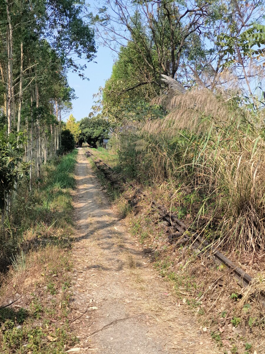 2024.11.17, abandoned Railway Crossing of GuiLin-HaiYang County Railway, on 龙门二路 (LongMen 2nd Road), from National Highway G357, 桂磨公路 (GuiMo Highway, GuiLin-MoPanShan Dock) section. This path was toward the GuiLin East Station, several more railway crossing located toward that direction. It was said that for a while GuiLin East Station had some old rare station shunter...
///
2024.11.17, aufgegebener Bahnübergang der GuiLin-HaiYang County Railway, an der 龙门二路 (LongMen 2nd Road), von der National Highway G357, 桂磨公路 (GuiMo Highway, GuiLin-MoPanShan Dock) Abschnitt. Dieser Weg führte zum Ostbahnhof von GuiLin, und in dieser Richtung befanden sich mehrere Bahnübergänge. Es hieß, dass der Ostbahnhof von GuiLin eine Zeit lang einige alte, seltene Rangierloks hatte...