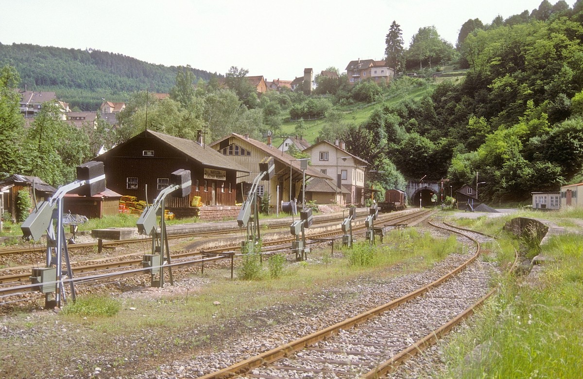  211 242  Wildberg  03.06.88