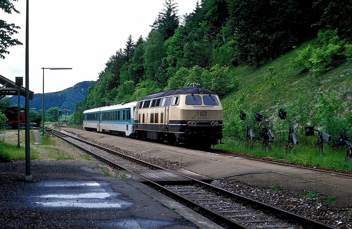 215 056  Fridingen  03.06.89 