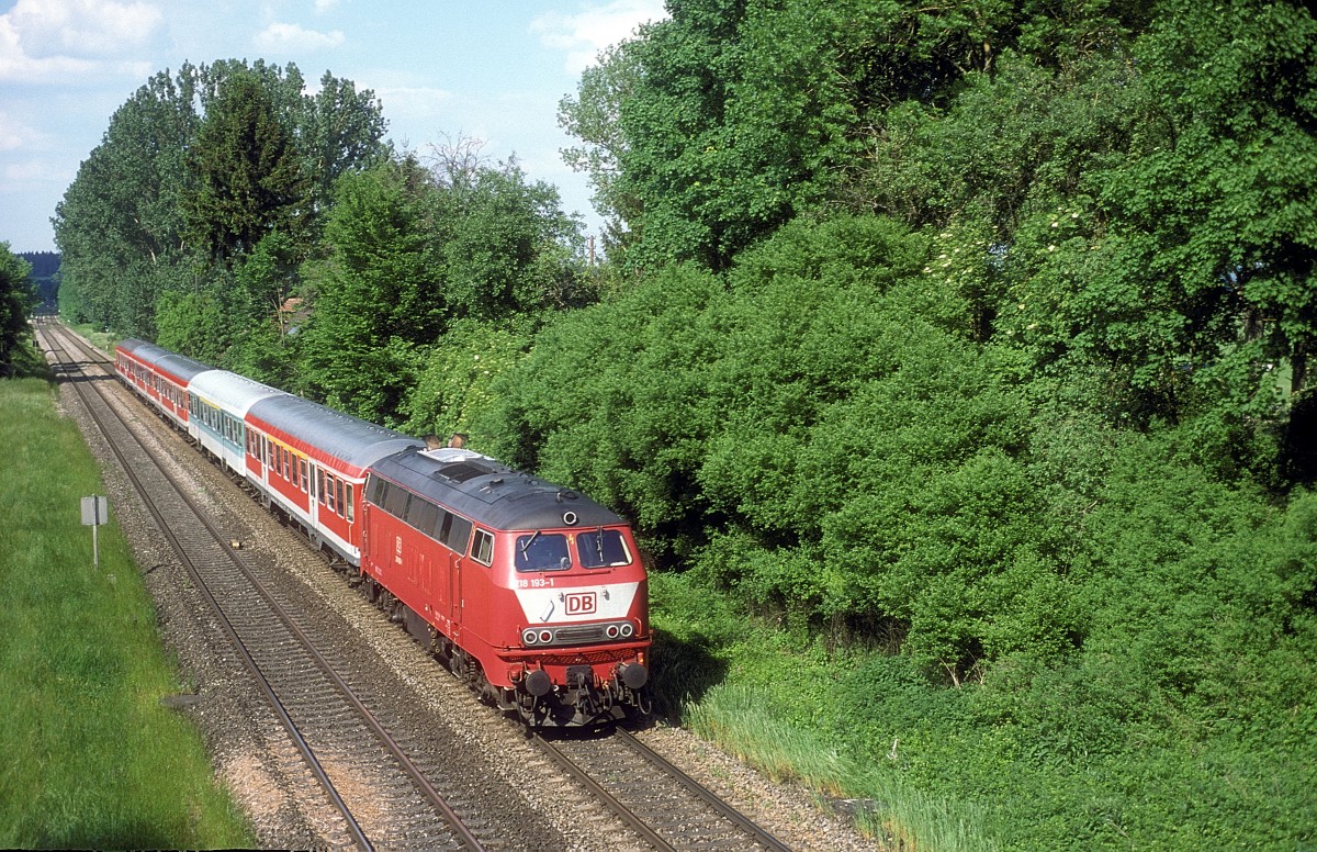  218 193  bei Erbach  25.05.01