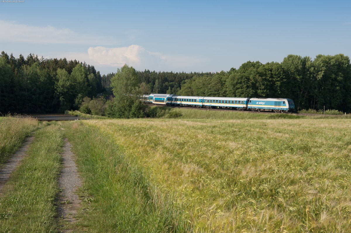 223 064 mit dem ALX 84102 von Hof Hbf nach München Hbf bei Oberteich, 10.06.2018