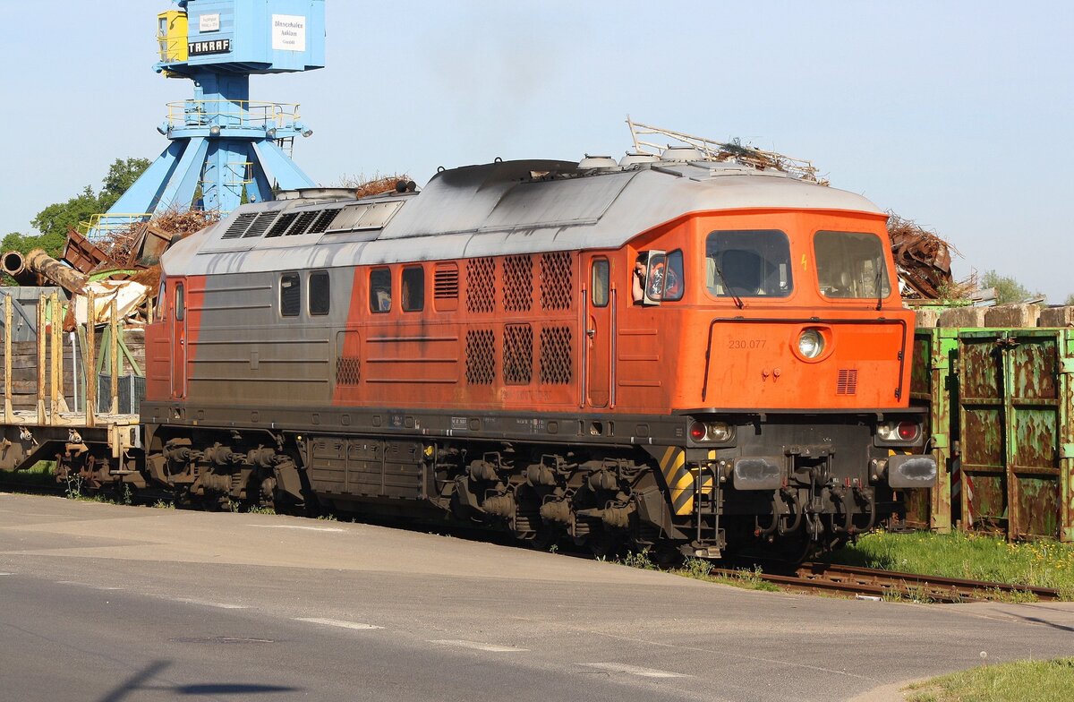 230 077 | BLC | Mai 2018 | Binnenhafen Anklam