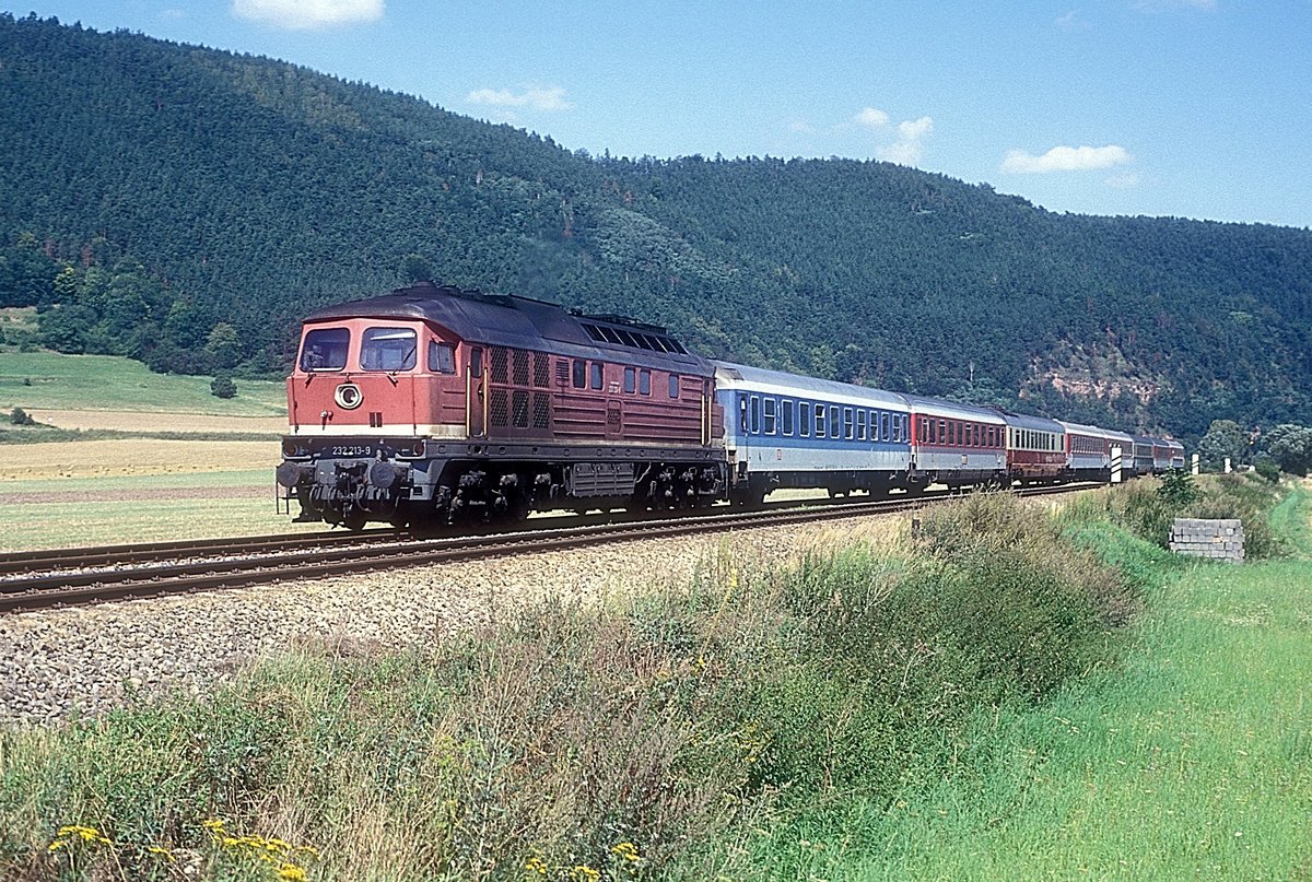 232 213  bei Rudolstadt  13.08.93