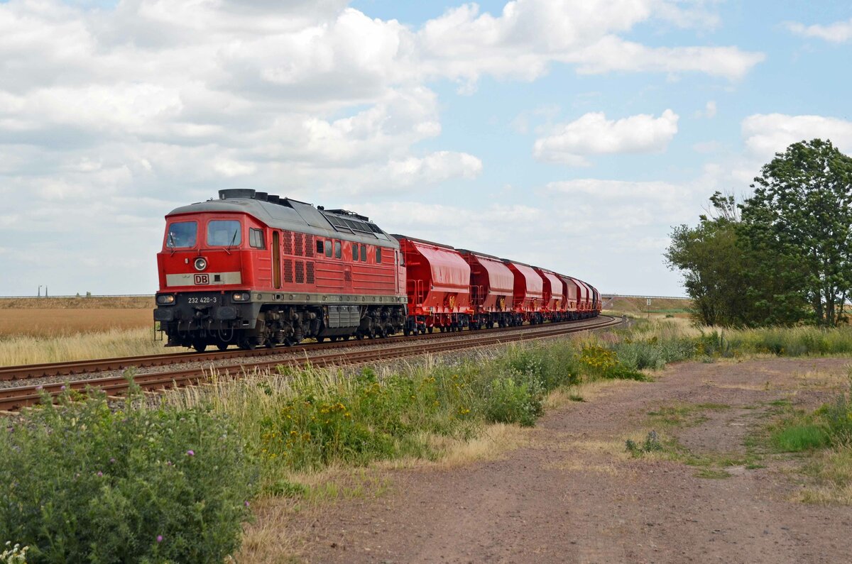 232 428 führte am 03.07.23 einen langen Steinsalzzug durch Edderitz Richtung Baalberge.