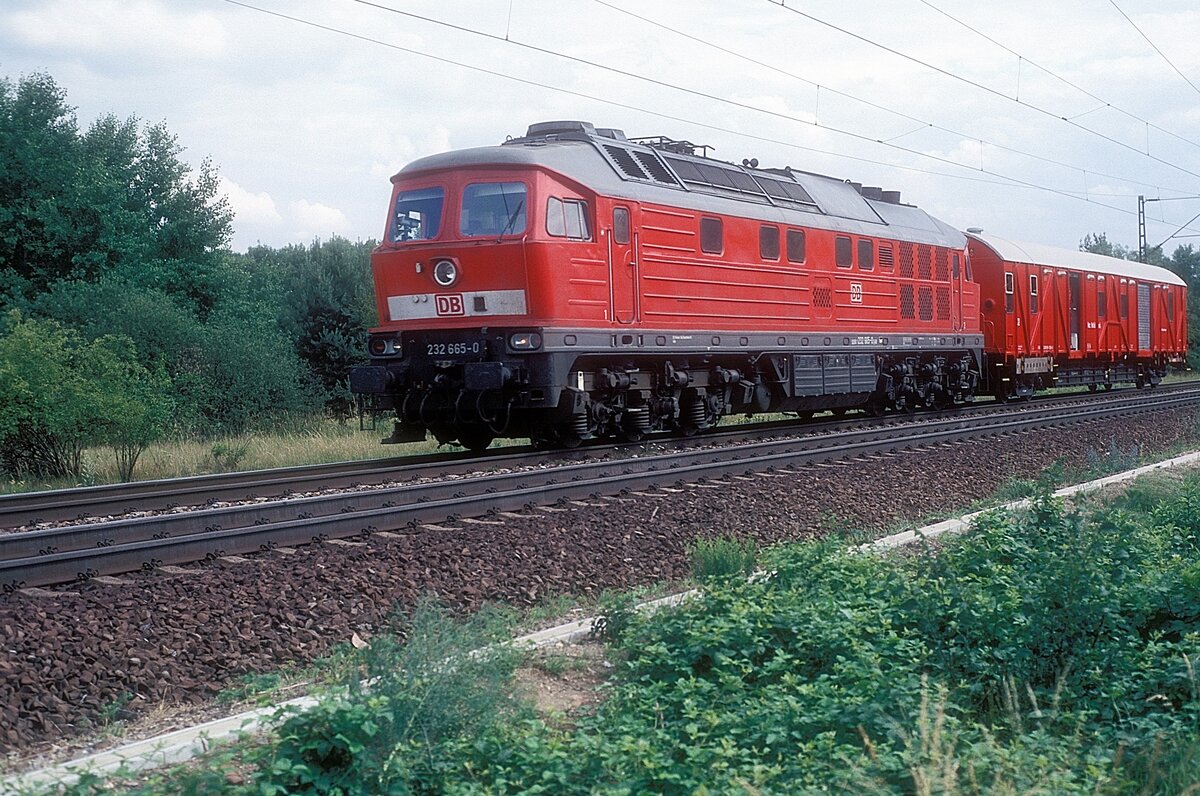 232 665  Waghäusel  10.06.11