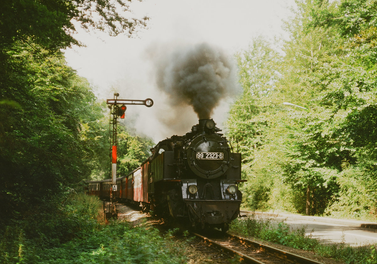 26. August 1985, Schmalspurbahn Kühlungsborn - Bad Doberan. Ein Zug, bespannt mit Lok 99 323 kommt in der Nähe des Bahnhofs Heiligendamm von der Küste zurück.