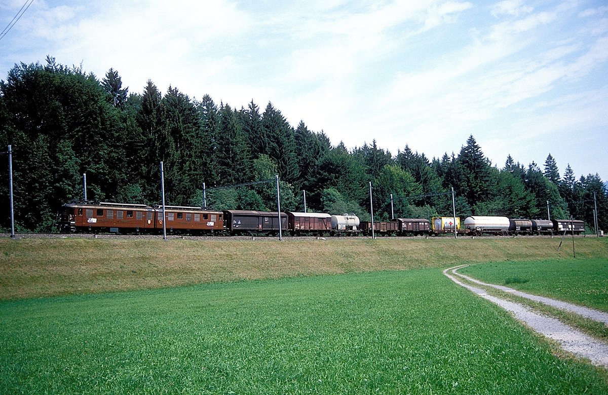 272  bei Frutigen  19.08.88