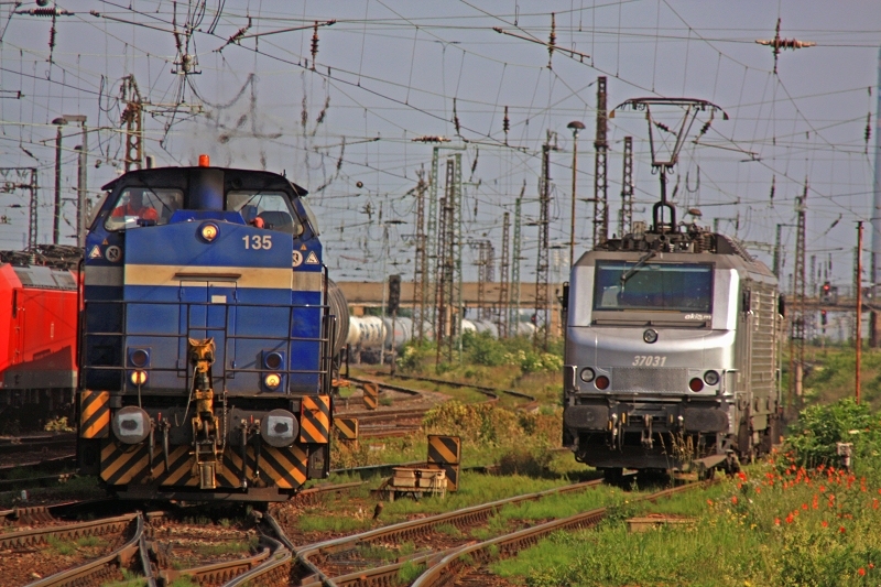 293 504 bringt den Kesselzug auf den am 01.06.2014 bereits Sehnsüchtig wartende 37031 ansetzen wird. 