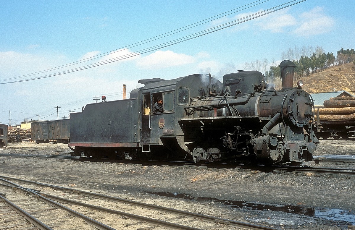 309  Waldbahn  Yabuli  30.03.99