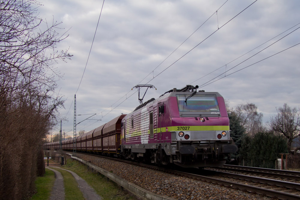 37027 in Dresden-Stetzsch. 20.02.2014