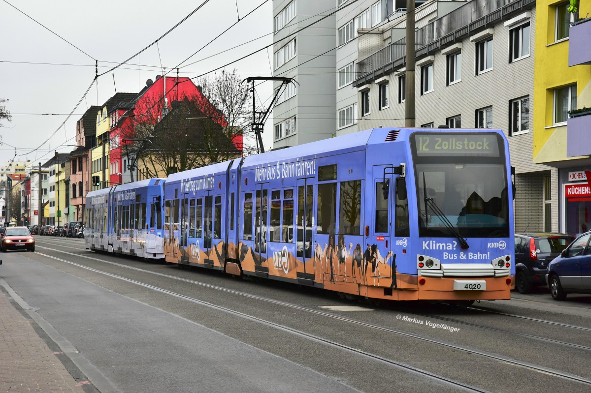 4020 trägt eine neue Ganzgestaltung für die KVB Klima-Kampagne (Wüsten Motiv).
hier zu sehen auf der Neusser Straße am 29.11.2014.