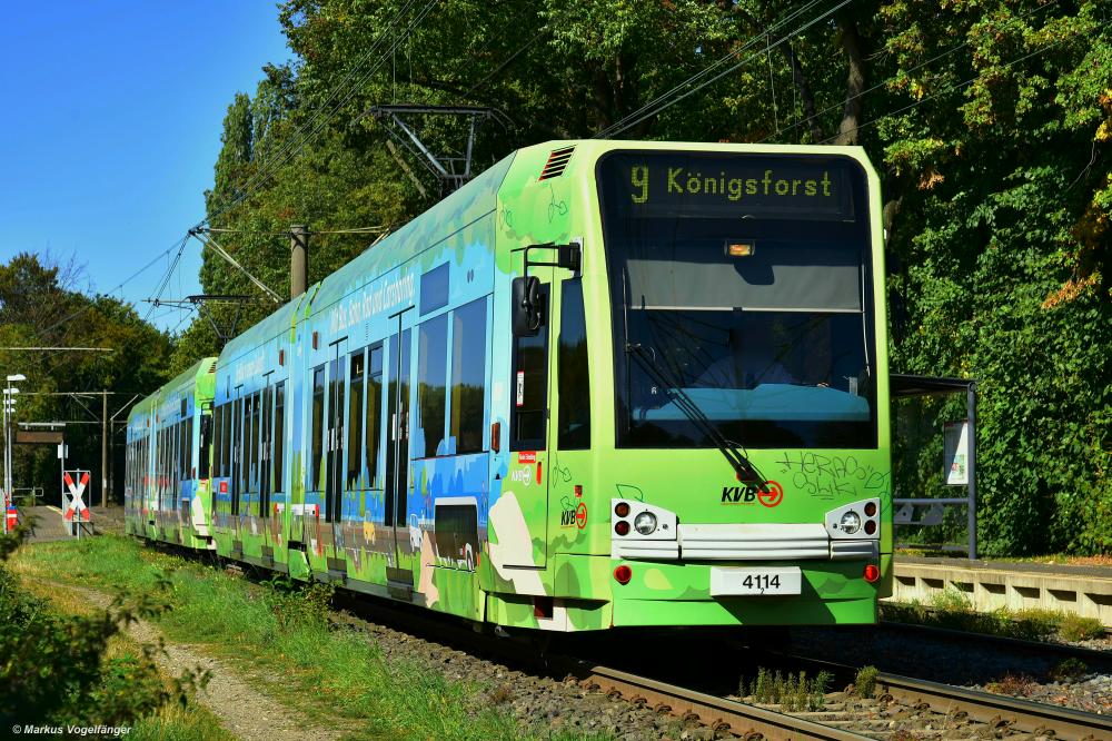 4114 und 4113 am Steinweg am 21.09.2019.